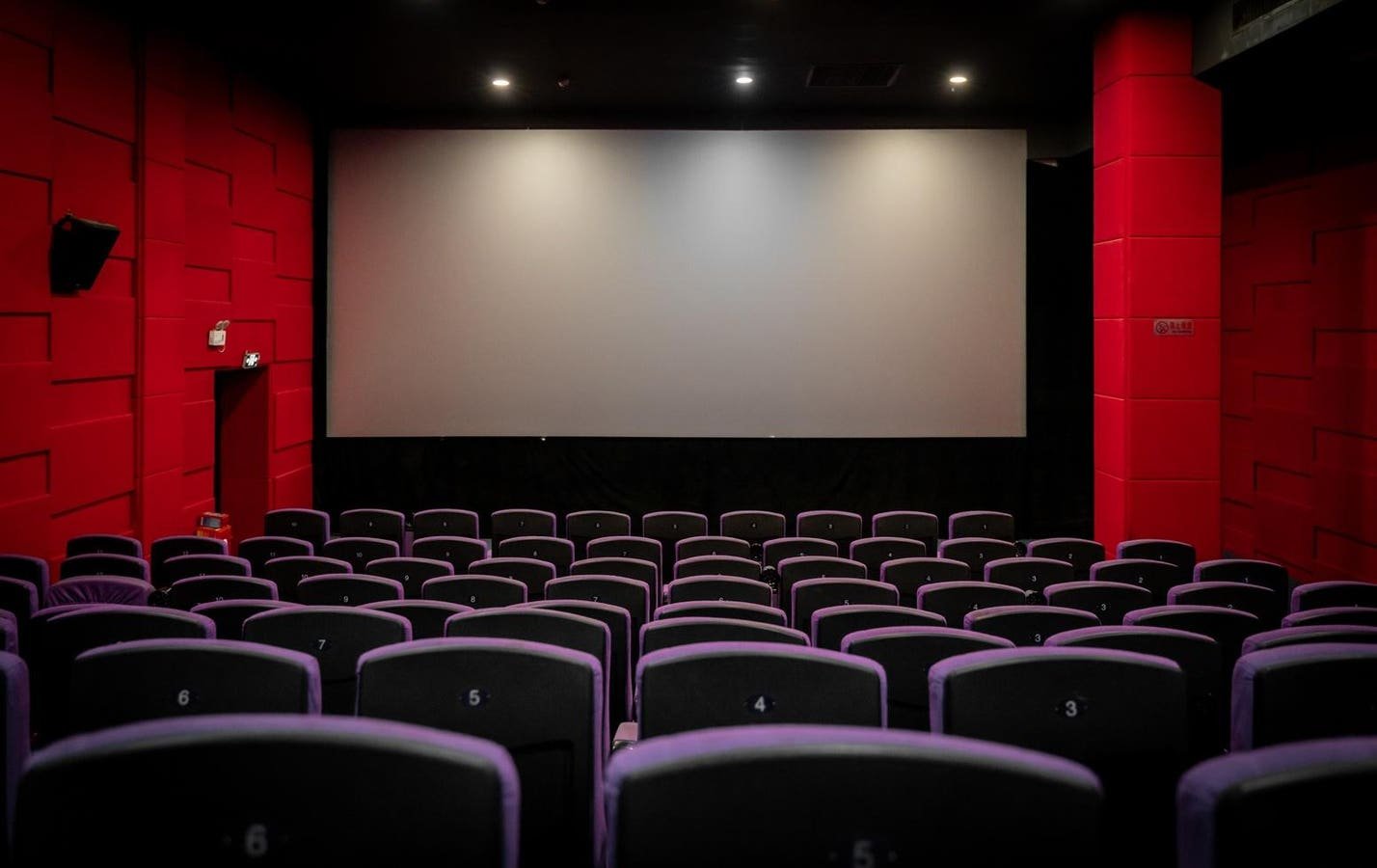 How Inaccessible Film Festivals Silence Disabled Voices In Cinema – New Research